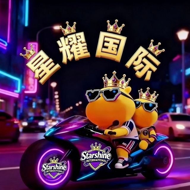 星耀国际